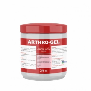 ARTHRO GEL 250 ML