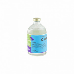 Castralgin 100 ml