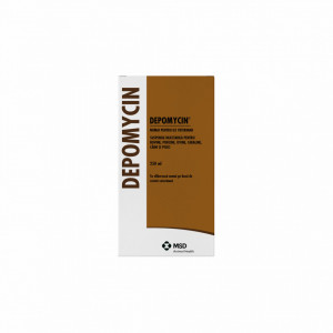Depomycin - 250 ml