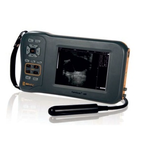 ECOGRAF BVSCAN L60 PORTABIL SONDA RECTALA LINIARA