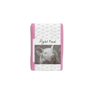 BISLAC FEED 20 KG