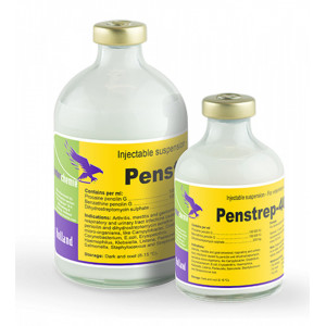Penstrep 400 100 ml