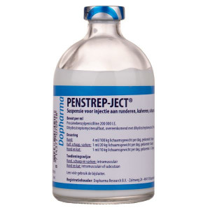 Penstrep Ject 100 ml