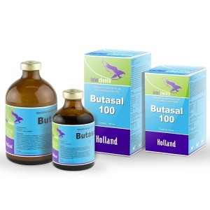 BUTASAL 100 ML