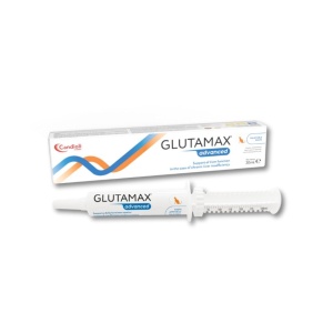 GLUTAMAX ADVANCED PASTE 30 ML