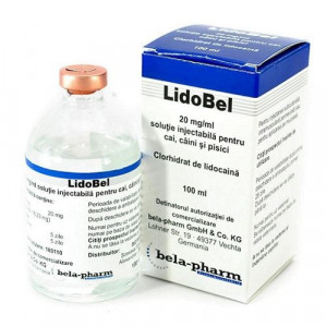 Lido Bel 100 ml
