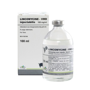 LINCOVETO-10 100MG/ML INJ 100ML