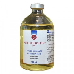 Meloxidolor 5 mg/ml 100 ml