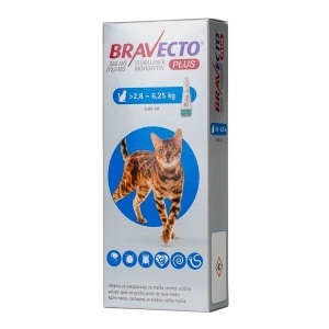 BRAVECTO PLUS FOR CAT 250 MG 1X1 PIP