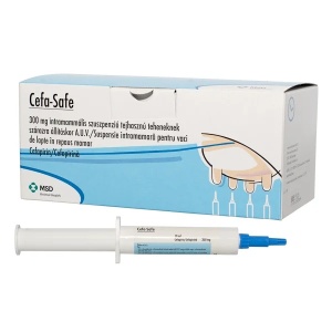 CEFA-SAFE