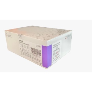 TEST FECALE MORFOLOGIE INMORPH 20 TESTE/CUTIE
