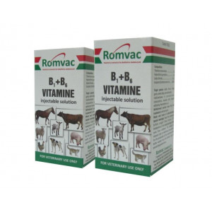 Vitamina B1+B6 20 ml