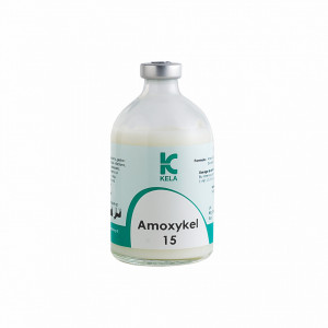 Amoxy-Kel 15% 100 ml