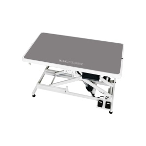 COVORAS PT MASA CONSULTATIE BV-4