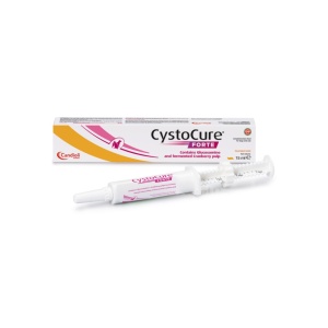 CYSTOCURE FORTE PASTE 15 ML
