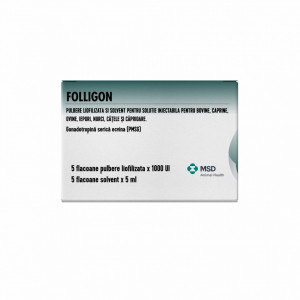 Folligon 1000 UI 5 ml