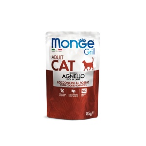 MONGE HRANA UMEDA PENTRU PISICI ADULTE, MIEL, BUCATI IN SOS 85 G - 3628