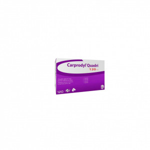 CARPRODYL QD 120MG (1 FOLIE X 6TAB)