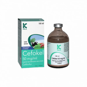 Cefokel 50 mg/ml 100 ml