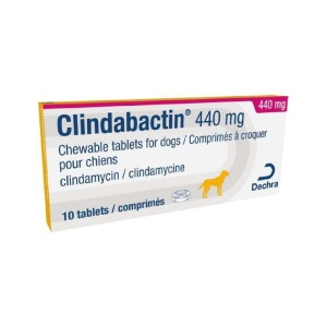 CLINDABACTIN 440MG 10 CP DUBLU-DIVIZIBILE