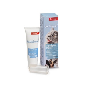 DENTALMAX 50 ML