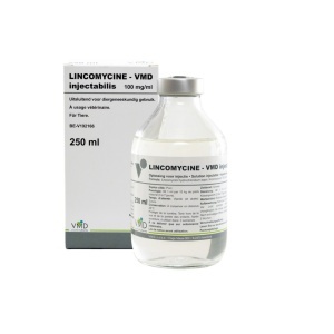 LINCOVETO-10 100MG/ML INJ 250ML