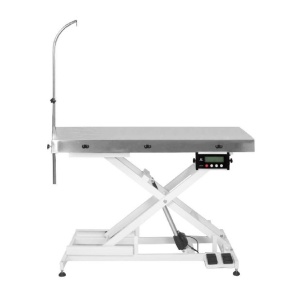 MASA DE CONSULTATIE ELECTRICA CU CANTAR BV-861ECO-SC