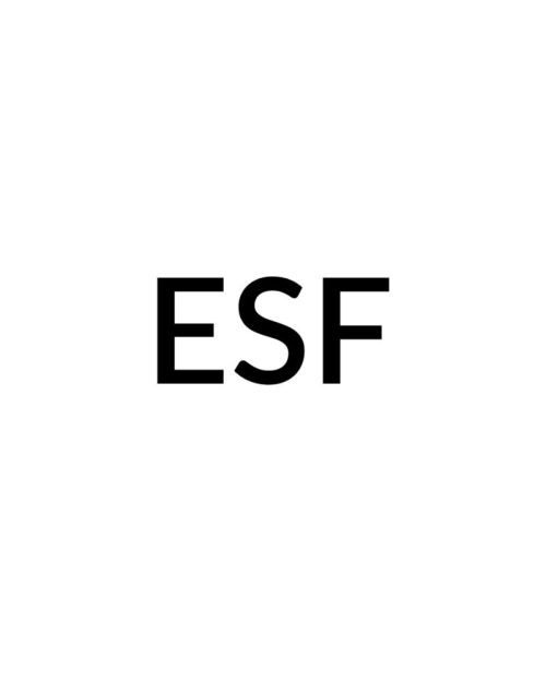 Esarfa asortata ESF