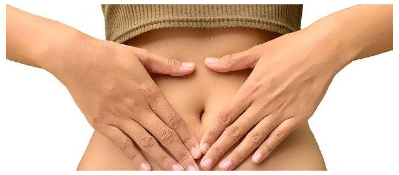 FLORA INTESTINALĂ ȘI CONSECINȚELE ALTERĂRII MICROBIOMULUI INTESTINAL