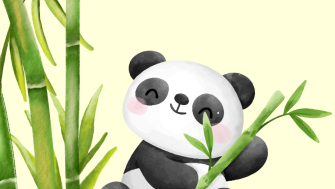 Beneficiile Probioticelor pentru Copii: De ce să alegi Omni Biotic Panda pentru Sănătatea Intestinală