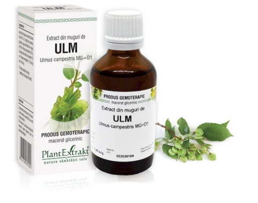 Extract muguri de ulm x 50 ml (PLX)
