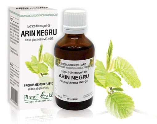 Extract muguri arin negru x 50ml (PLX)