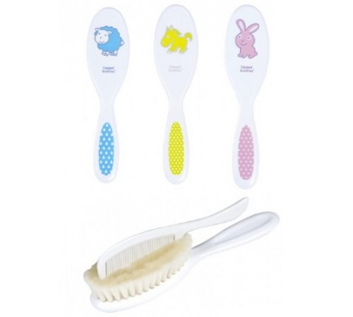 CANPOL Set Perie par +pieptan 2/417