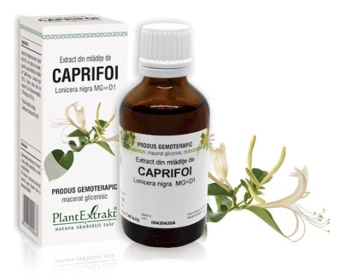 Extract mladite caprifoi x 50ml (Plx)