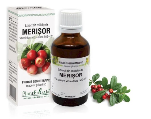Extract mladite merisor x 50ml (PLX)