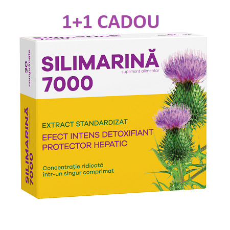 Silimarina 7000, 2 x 30 comprimate, Fiterman