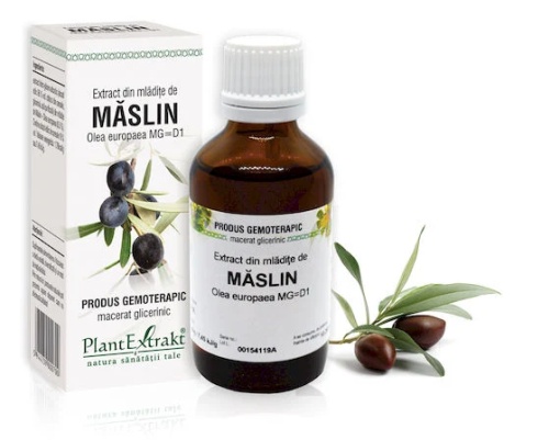 Extract mladite maslin x 50ml (PLX)