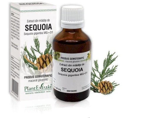 Extract mladite sequoia x 50ml (PLX)
