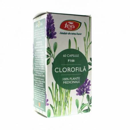 Clorofila x 60cps (Fares)