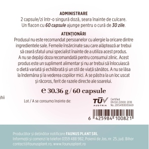 Colagenus Capsule – Colagen tip II, articulatii, 60 capsule, Faunus Plant - Img 12