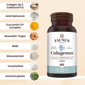 Colagenus capsule cu colagen tip II nativ, pentru articulatii, 60 capsule, Faunus Plant - Img 2