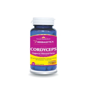 Cordyceps Forte, 60 capsule, Herbagetica