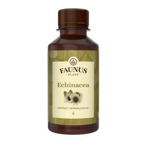 Echinacea – Tinctura 200 ml, Faunus - Img 2