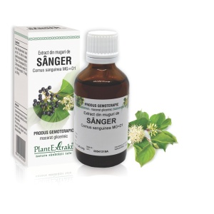 Plantextrakt Extract din Muguri de Sânger, 50 ml - Img 2