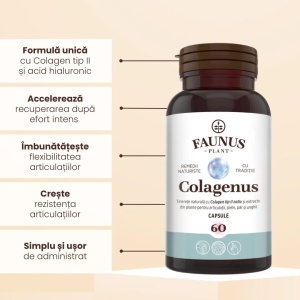 Colagenus capsule cu colagen tip II nativ, pentru articulatii, 60 capsule, Faunus Plant - Img 3