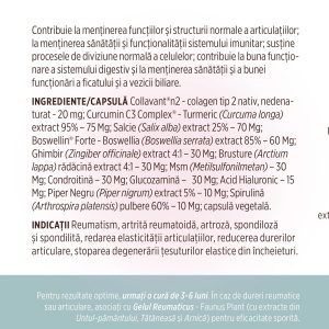 Colagenus capsule cu colagen tip II nativ, pentru articulatii, 60 capsule, Faunus Plant - Img 13