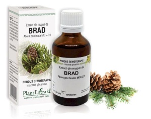 Extract muguri brad x 50ml (PLX)