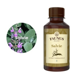 Faunus Tinctura Salvie - pentru echilibru hormonal și sistem digestiv sănătos, 200 ml - Img 4