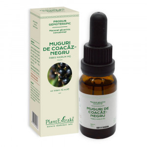 MGC Coacaz negru-muguri x 15 ml PLX
