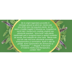 Ceai de Menta Bio D127, 20 plicuri, Fares - Img 3